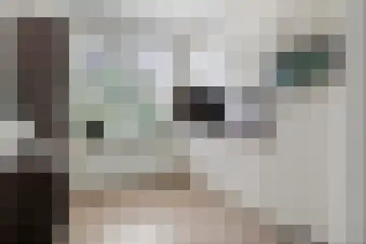 Drumptselaan 17 Tiel foto 3