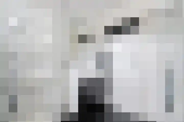 Drumptselaan 17 Tiel thumbnail 30
