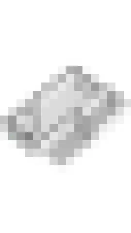 Drumptselaan 17 Tiel thumbnail 42
