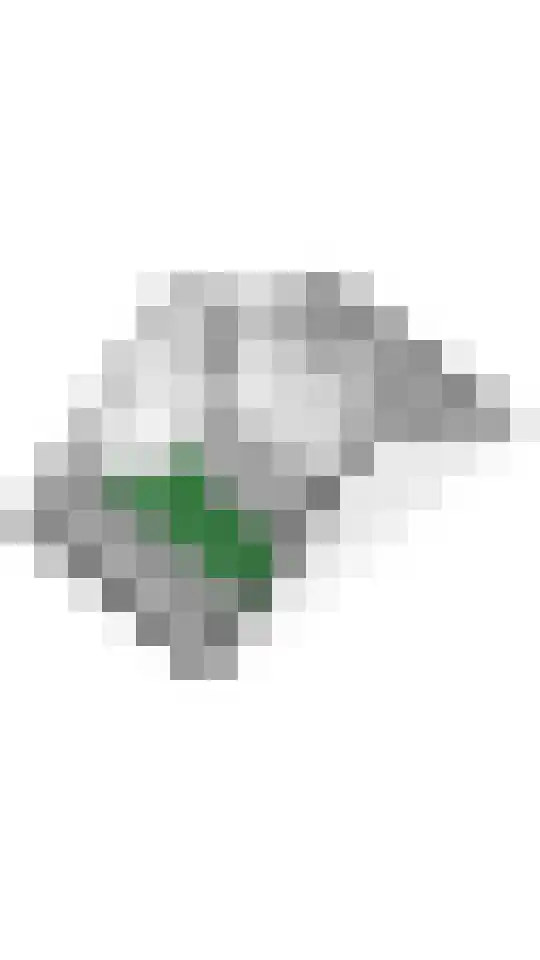 Drumptselaan 17 Tiel thumbnail 46