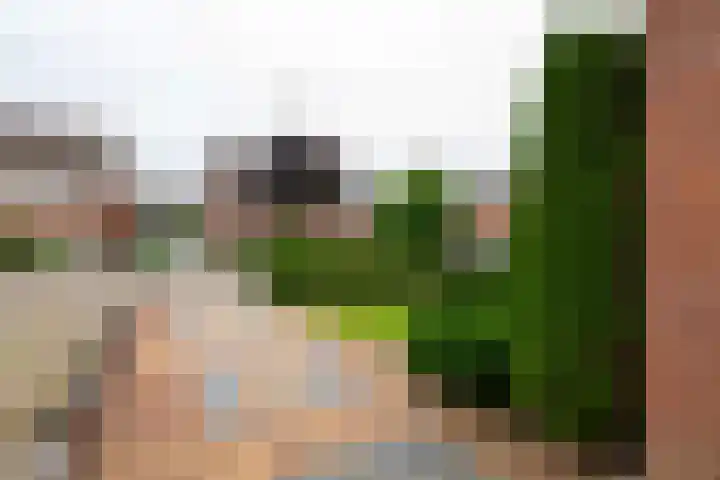 Drumptselaan 17 Tiel thumbnail 5