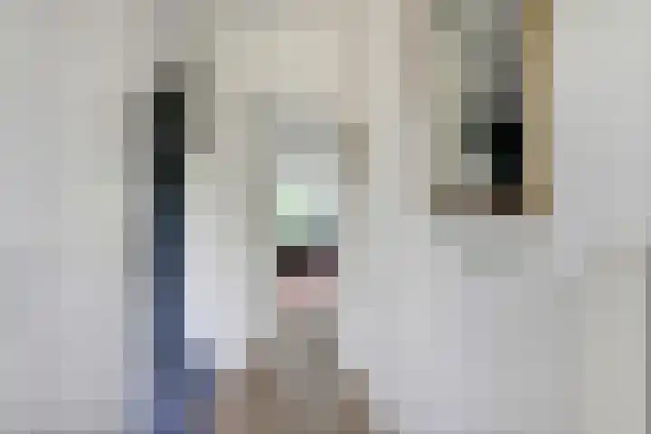 Drumptselaan 17 Tiel thumbnail 6