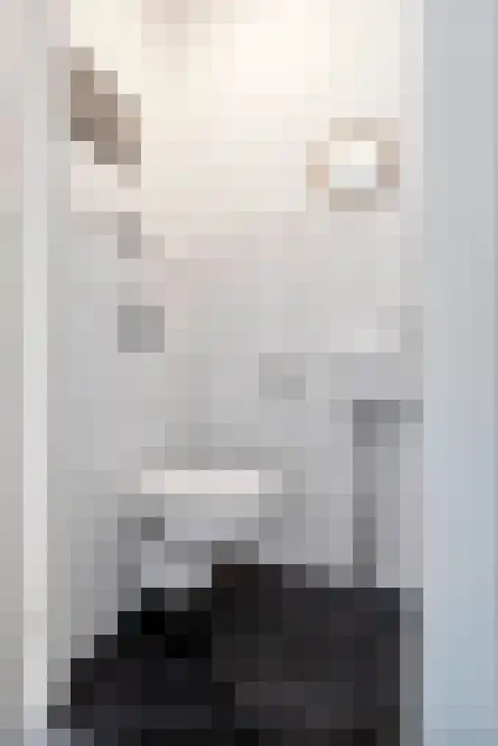 Drumptselaan 17 Tiel thumbnail 7