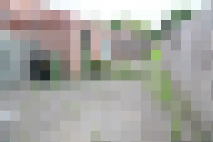 Drumptselaan 45 Tiel thumbnail 12