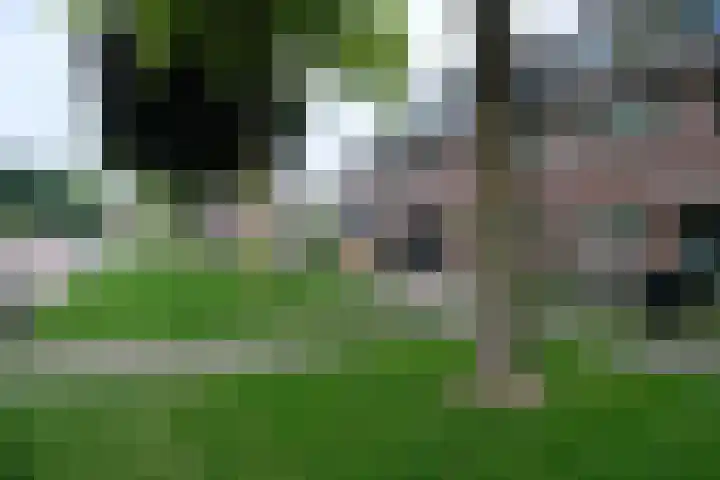 Drumptselaan 45 Tiel thumbnail 13