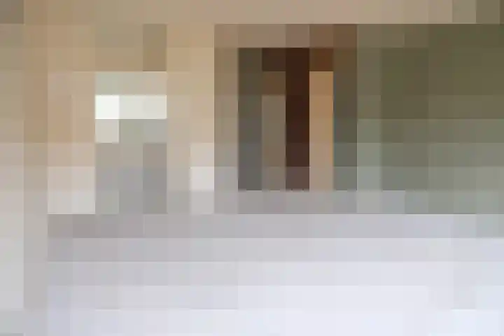 Drumptselaan 45 Tiel foto 3