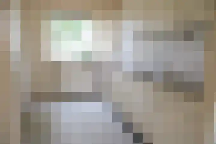 Drumptselaan 45 Tiel thumbnail 4