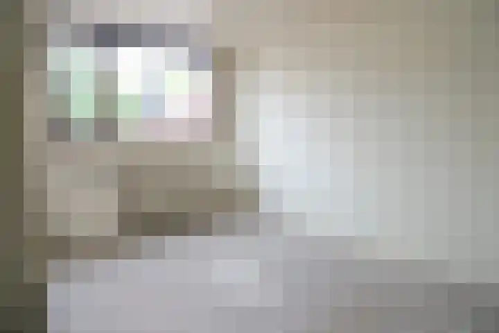 Drumptselaan 45 Tiel thumbnail 6