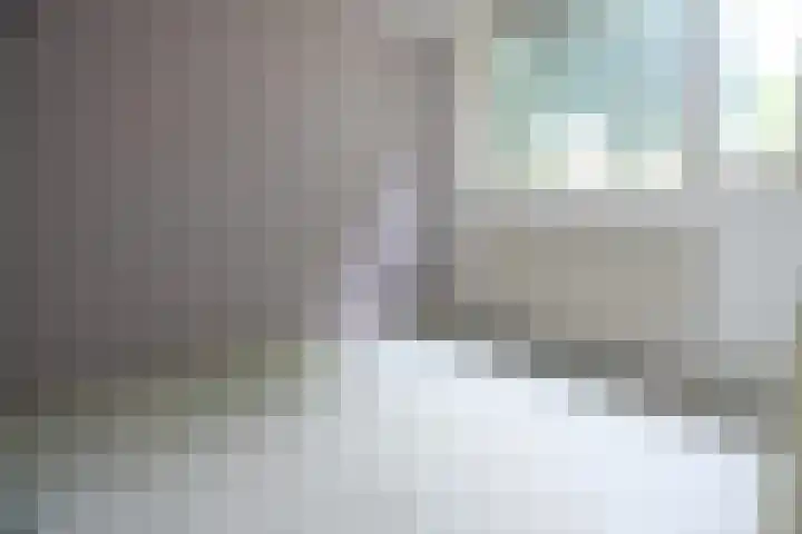 Drumptselaan 45 Tiel thumbnail 7