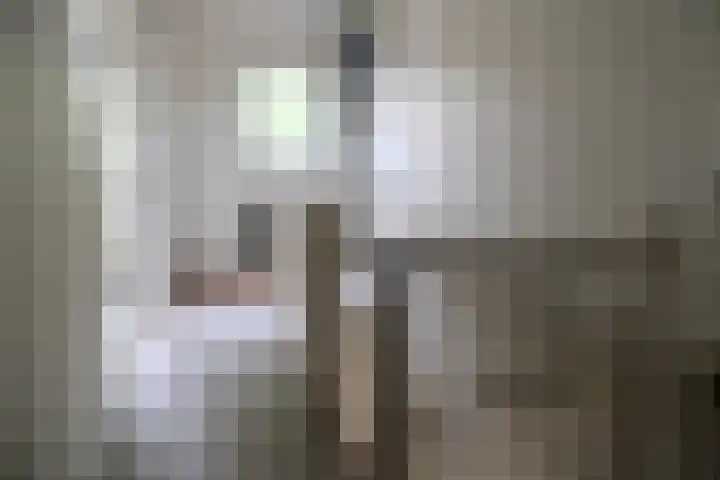 Drumptselaan 45 Tiel thumbnail 9