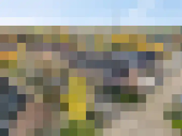 Drumptselaan 80 in Tiel