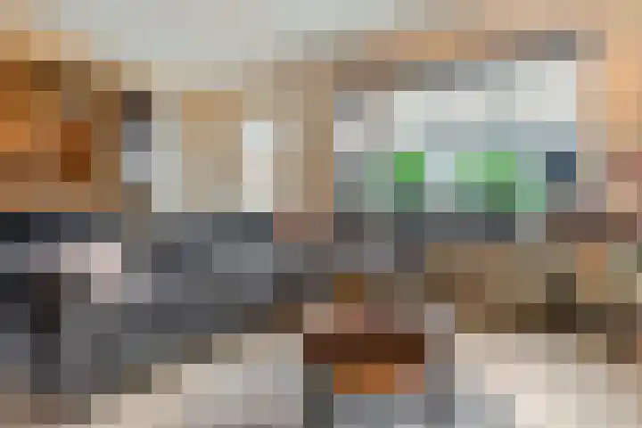 Drumptselaan 80 Tiel thumbnail 10