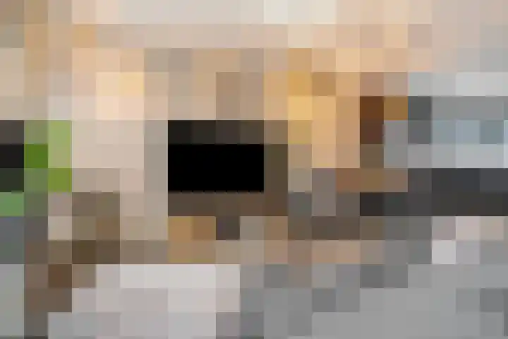 Drumptselaan 80 Tiel thumbnail 11