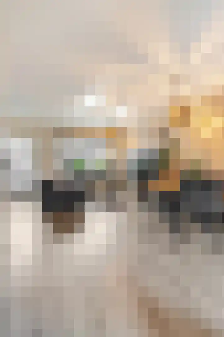 Drumptselaan 80 Tiel thumbnail 12