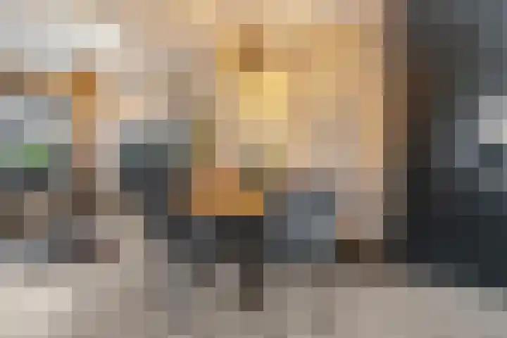Drumptselaan 80 Tiel thumbnail 13