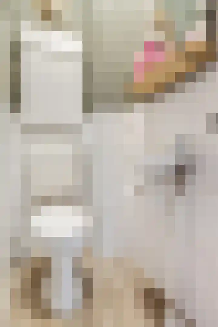 Drumptselaan 80 Tiel thumbnail 17