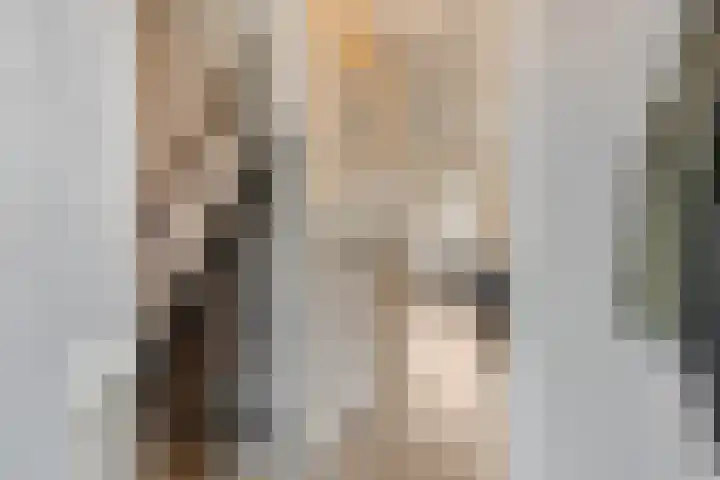 Drumptselaan 80 Tiel thumbnail 18