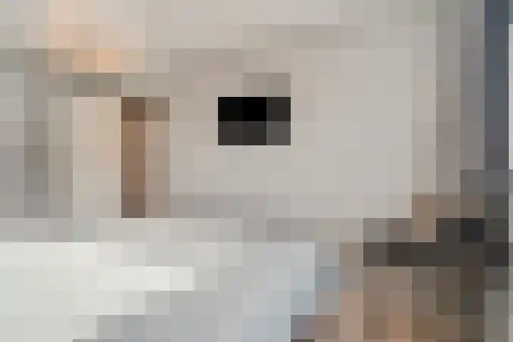 Drumptselaan 80 Tiel thumbnail 20