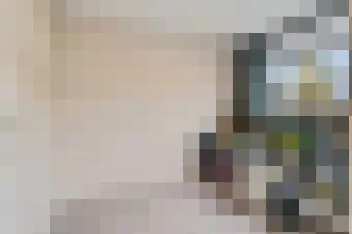 Drumptselaan 80 Tiel thumbnail 24