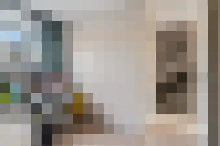 Drumptselaan 80 Tiel thumbnail 25