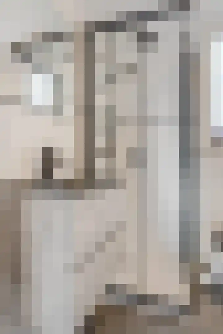 Drumptselaan 80 Tiel thumbnail 28