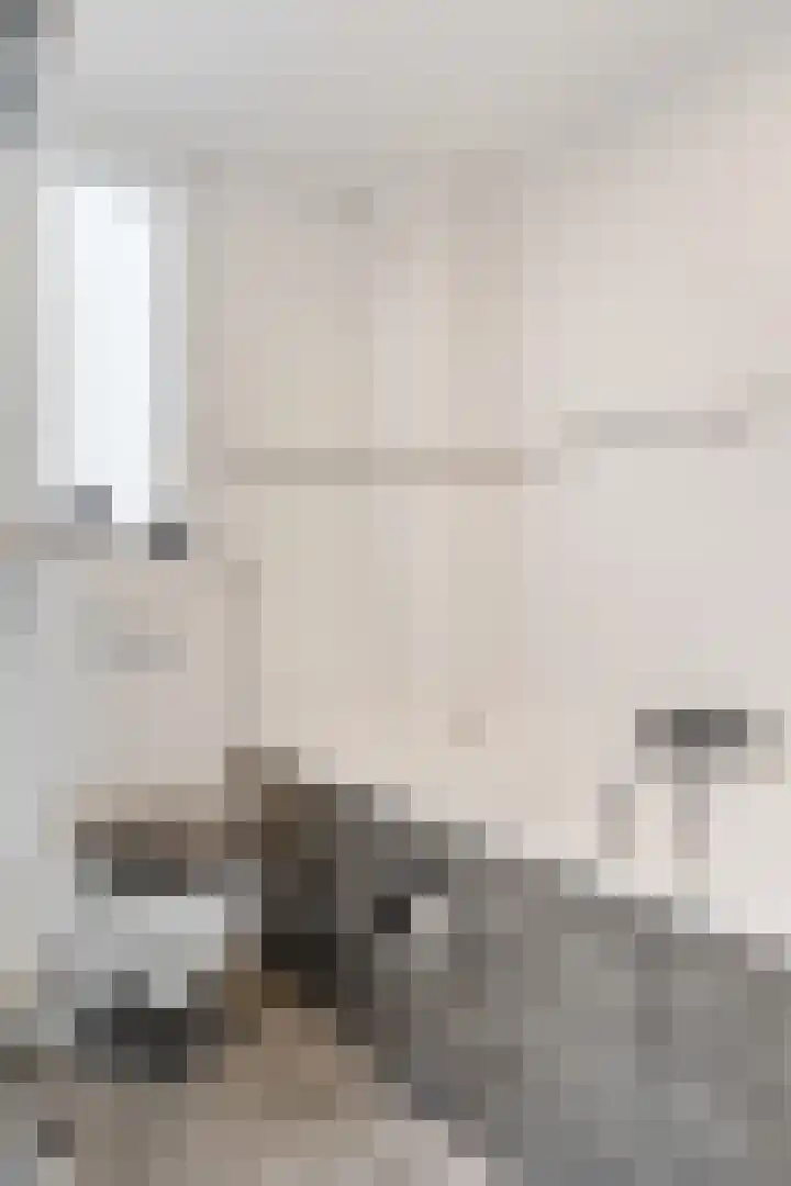Drumptselaan 80 Tiel thumbnail 29