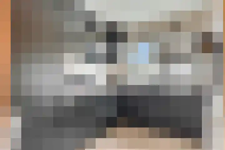 Drumptselaan 80 Tiel foto 3