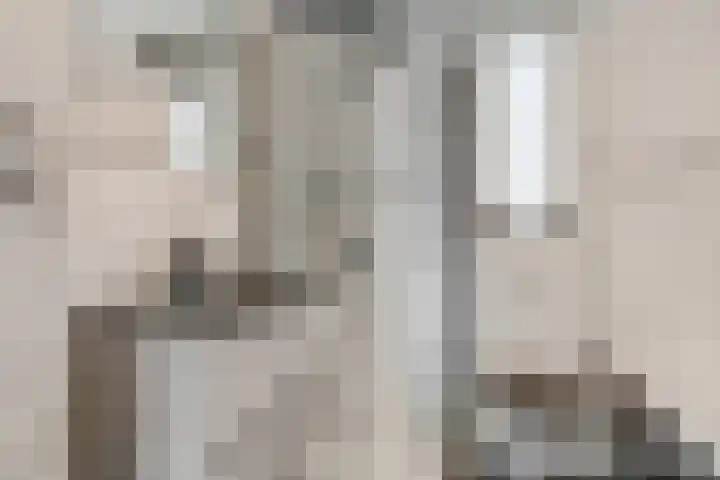 Drumptselaan 80 Tiel thumbnail 30