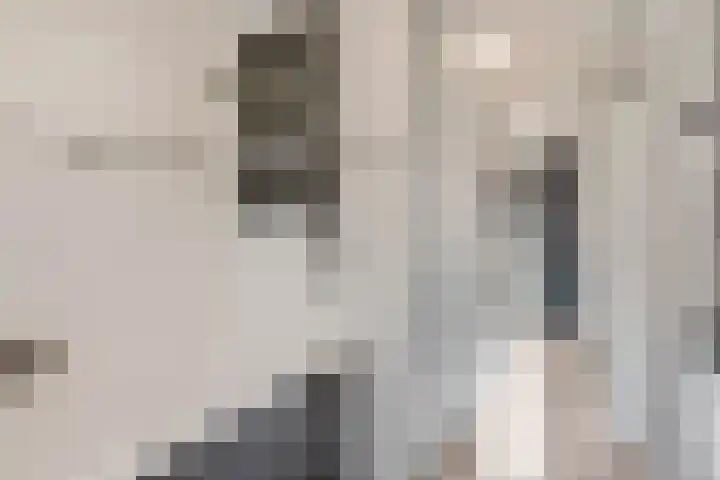 Drumptselaan 80 Tiel thumbnail 31