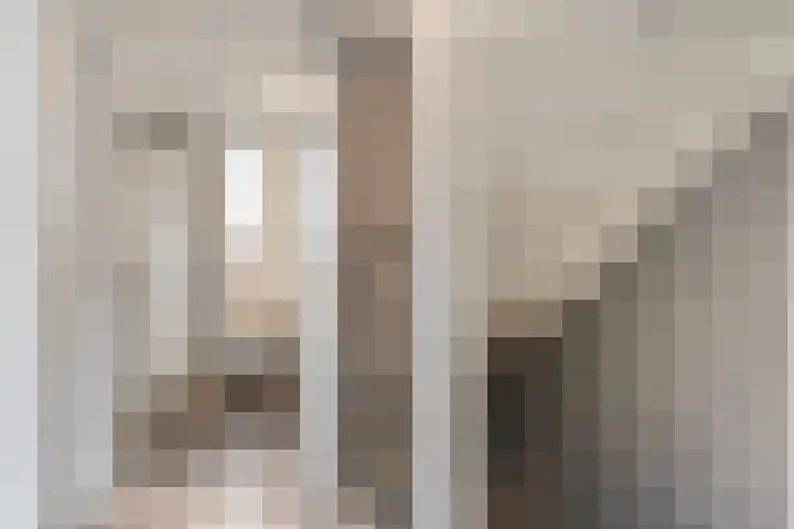 Drumptselaan 80 Tiel thumbnail 32