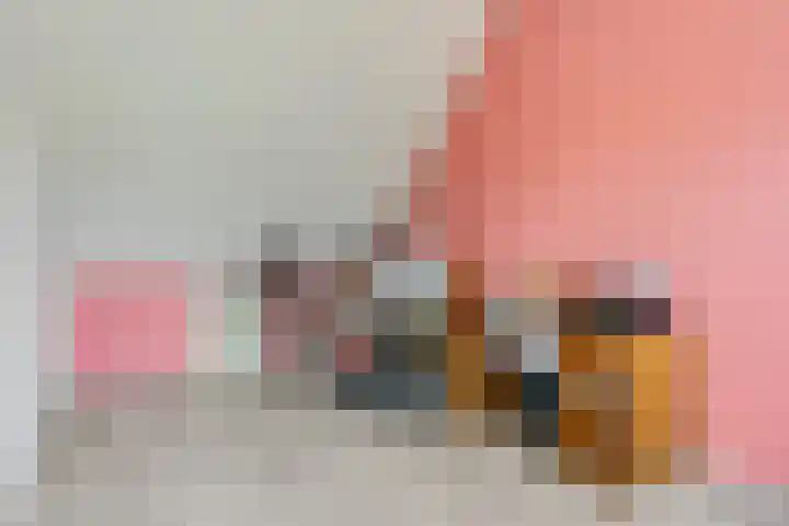 Drumptselaan 80 Tiel thumbnail 34