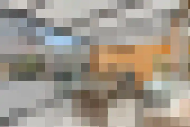 Drumptselaan 80 Tiel thumbnail 38