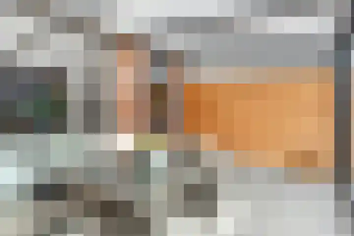 Drumptselaan 80 Tiel thumbnail 39