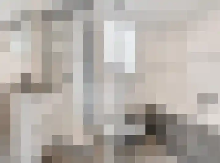 Drumptselaan 80 Tiel thumbnail 4