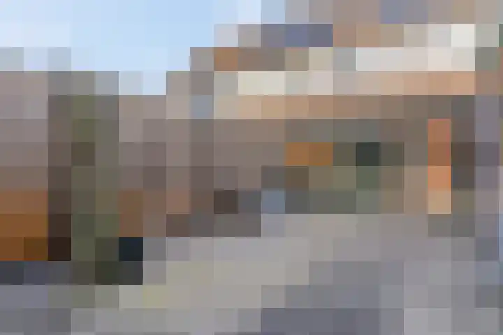 Drumptselaan 80 Tiel thumbnail 41