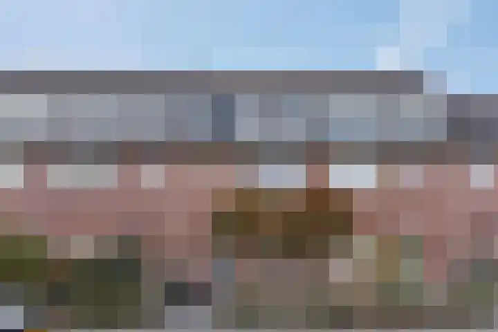 Drumptselaan 80 Tiel thumbnail 47