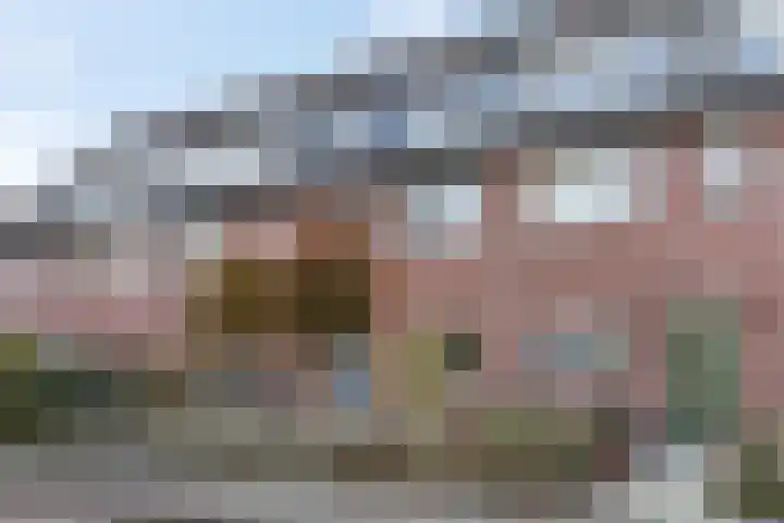 Drumptselaan 80 Tiel thumbnail 48