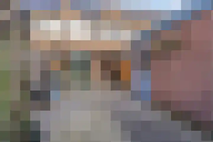 Drumptselaan 80 Tiel thumbnail 5