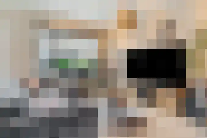 Drumptselaan 80 Tiel thumbnail 9