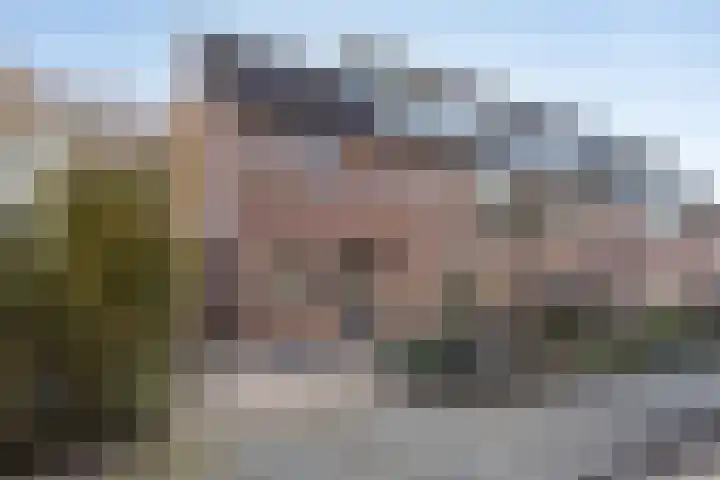 Drumptselaan 86 Tiel