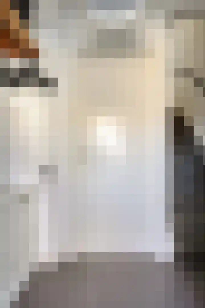 Drumptselaan 86 Tiel thumbnail 11