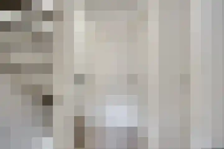 Drumptselaan 86 Tiel thumbnail 12