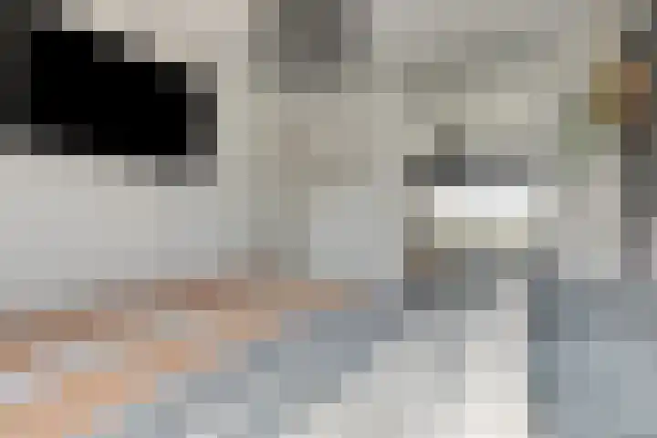 Drumptselaan 86 Tiel thumbnail 14