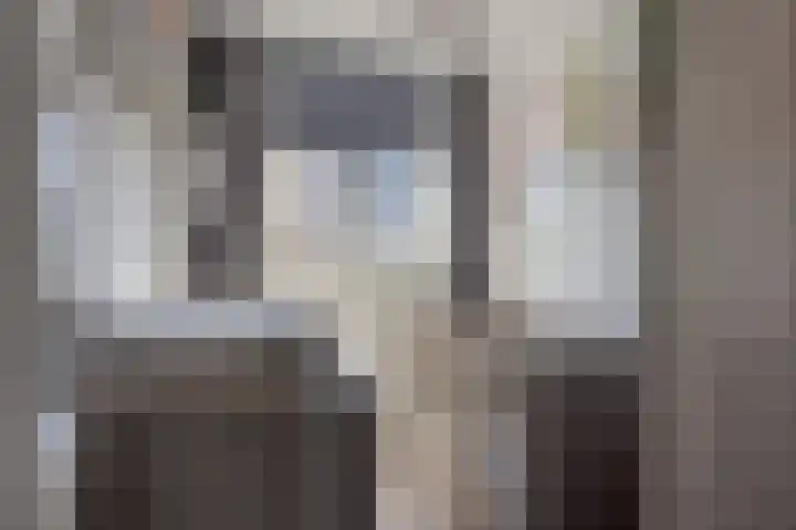 Drumptselaan 86 Tiel thumbnail 17