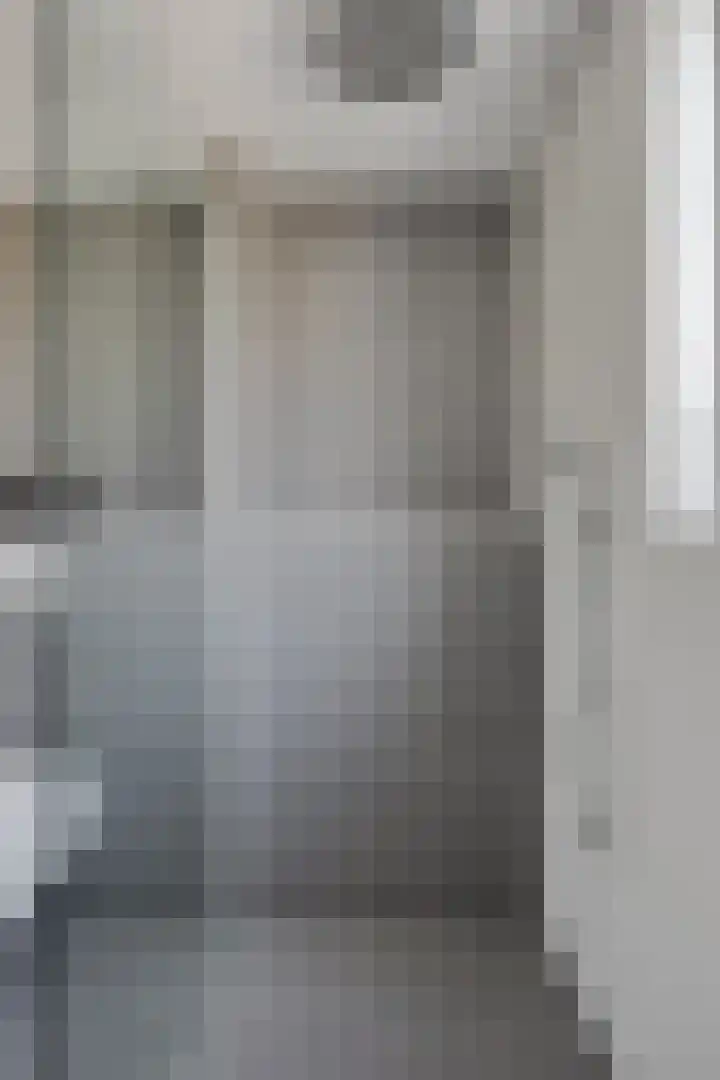 Drumptselaan 86 Tiel thumbnail 19