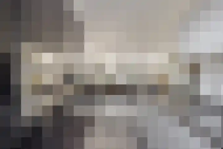 Drumptselaan 86 Tiel foto 2