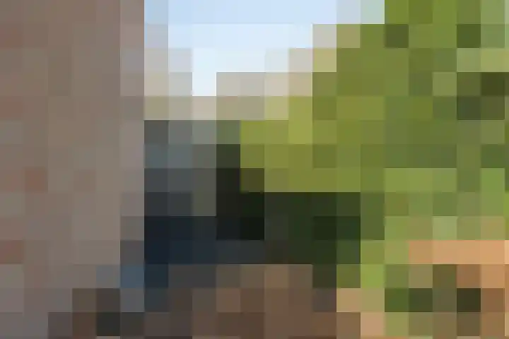 Drumptselaan 86 Tiel thumbnail 26