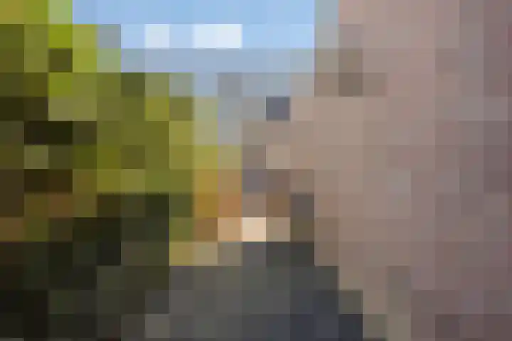 Drumptselaan 86 Tiel thumbnail 27