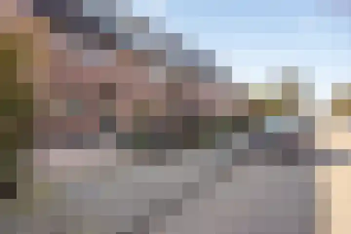 Drumptselaan 86 Tiel thumbnail 29