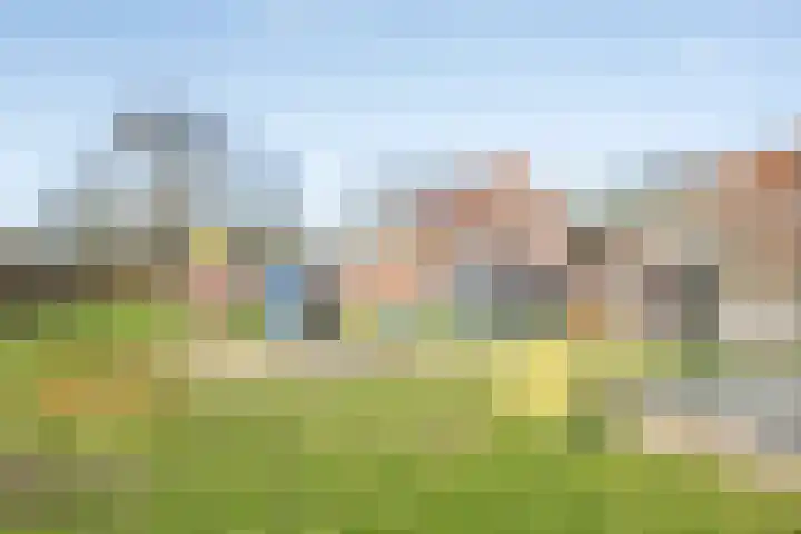 Drumptselaan 86 Tiel thumbnail 30